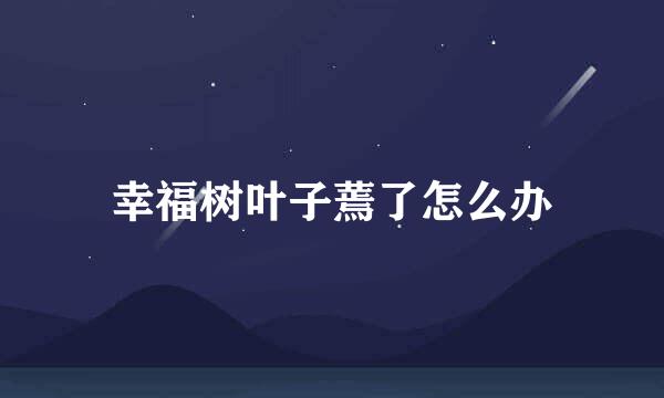 幸福树叶子蔫了怎么办