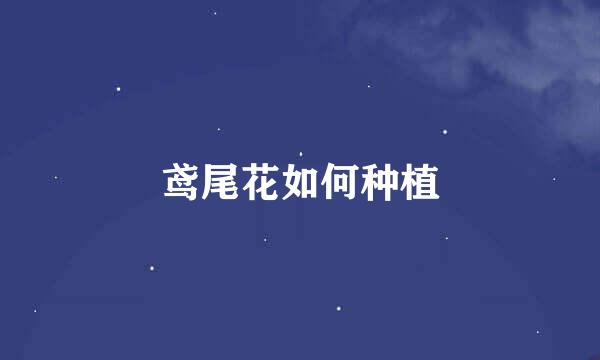 鸢尾花如何种植