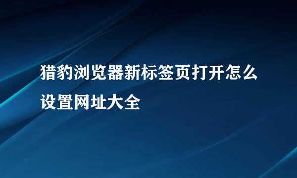 猎豹浏览器新标签页打开怎么设置网址大全