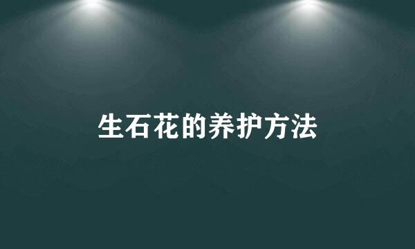 生石花的养护方法