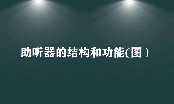 助听器的结构和功能(图）