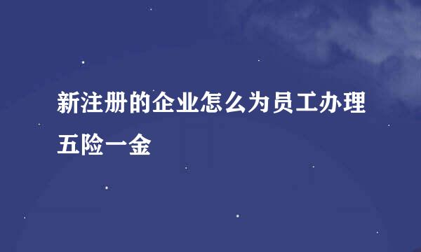 新注册的企业怎么为员工办理五险一金