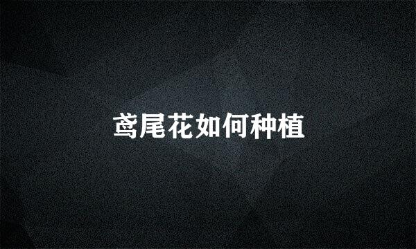 鸢尾花如何种植