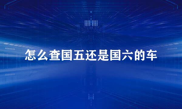 怎么查国五还是国六的车