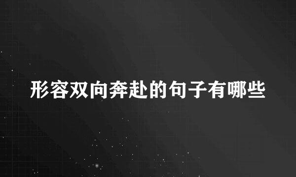 形容双向奔赴的句子有哪些