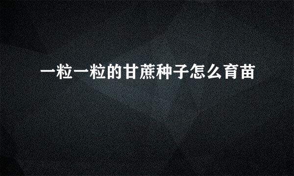 一粒一粒的甘蔗种子怎么育苗
