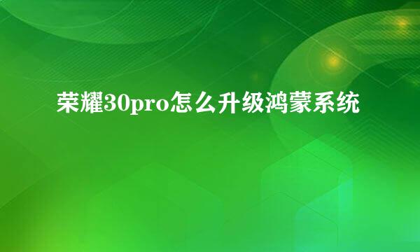 荣耀30pro怎么升级鸿蒙系统
