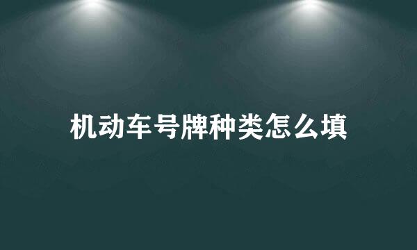 机动车号牌种类怎么填