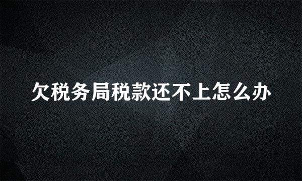 欠税务局税款还不上怎么办