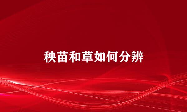 秧苗和草如何分辨
