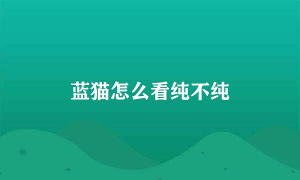 蓝猫怎么看纯不纯