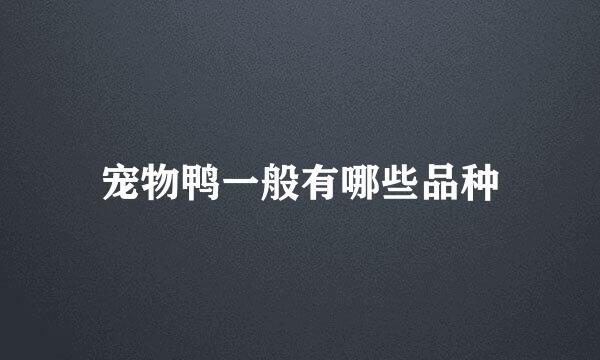 宠物鸭一般有哪些品种