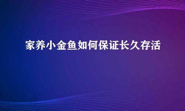 家养小金鱼如何保证长久存活