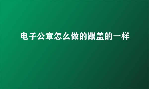 电子公章怎么做的跟盖的一样