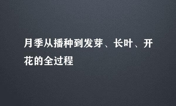 月季从播种到发芽、长叶、开花的全过程