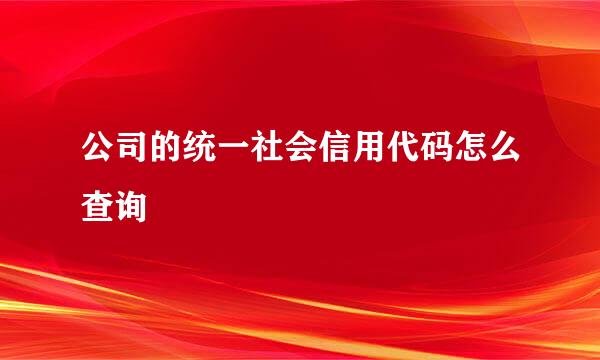 公司的统一社会信用代码怎么查询