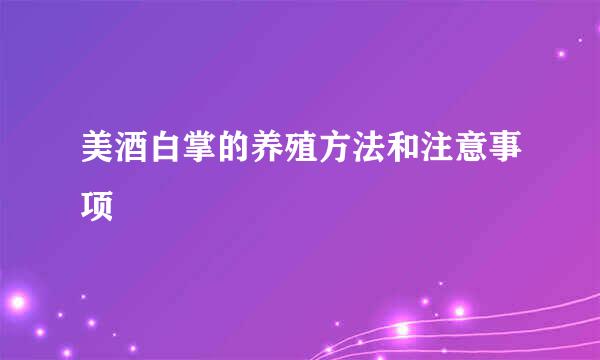 美酒白掌的养殖方法和注意事项