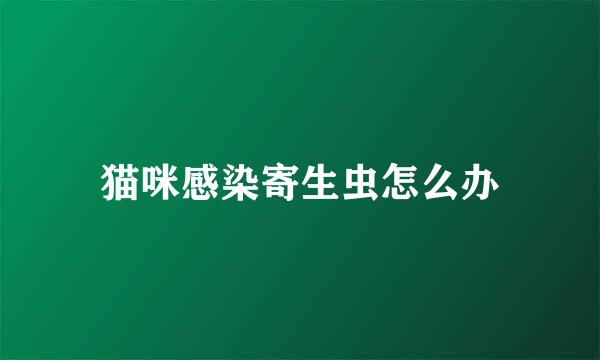 猫咪感染寄生虫怎么办
