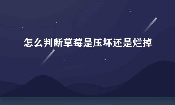 怎么判断草莓是压坏还是烂掉