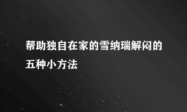 帮助独自在家的雪纳瑞解闷的五种小方法