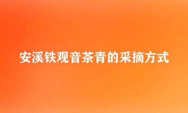 安溪铁观音茶青的采摘方式