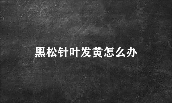 黑松针叶发黄怎么办
