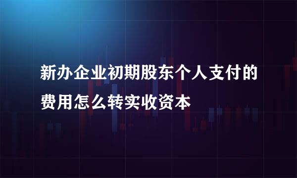 新办企业初期股东个人支付的费用怎么转实收资本
