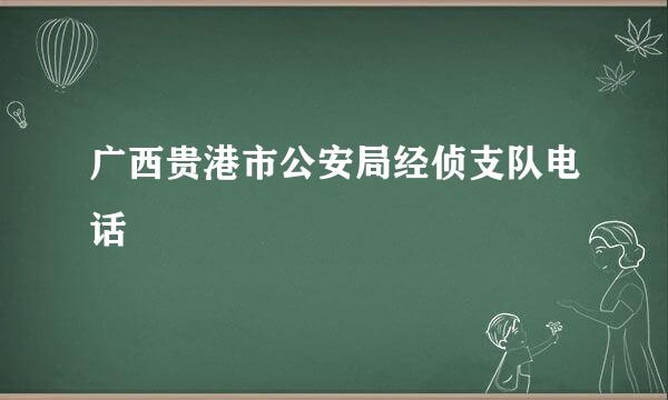 广西贵港市公安局经侦支队电话
