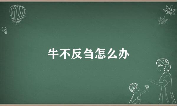 牛不反刍怎么办