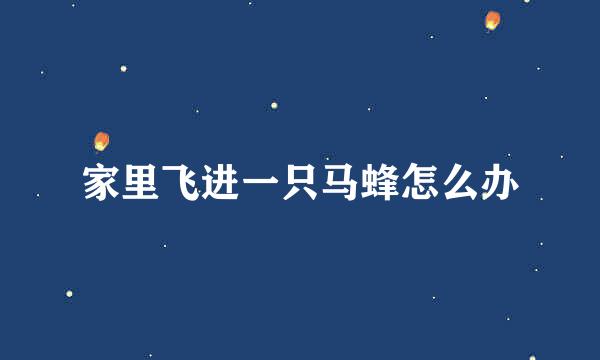 家里飞进一只马蜂怎么办