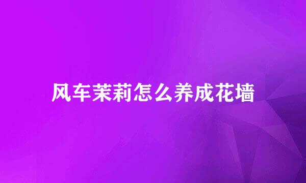 风车茉莉怎么养成花墙