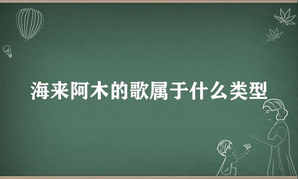 海来阿木的歌属于什么类型