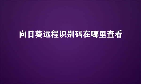 向日葵远程识别码在哪里查看