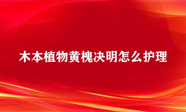 木本植物黄槐决明怎么护理