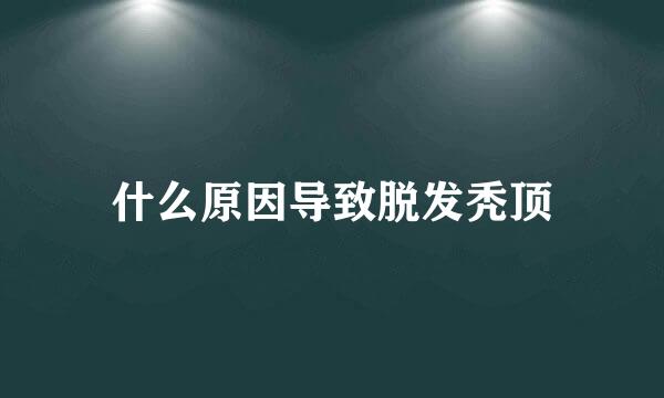 什么原因导致脱发秃顶