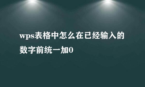 wps表格中怎么在已经输入的数字前统一加0
