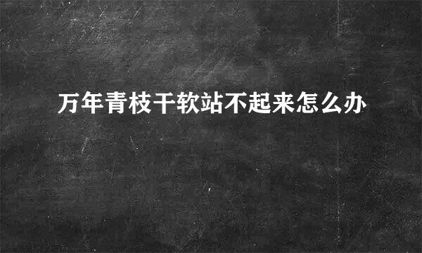 万年青枝干软站不起来怎么办