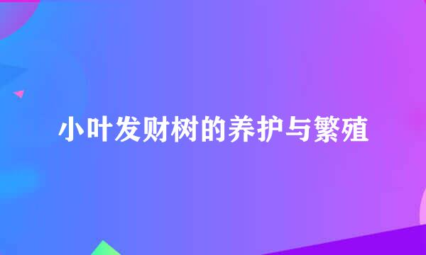 小叶发财树的养护与繁殖