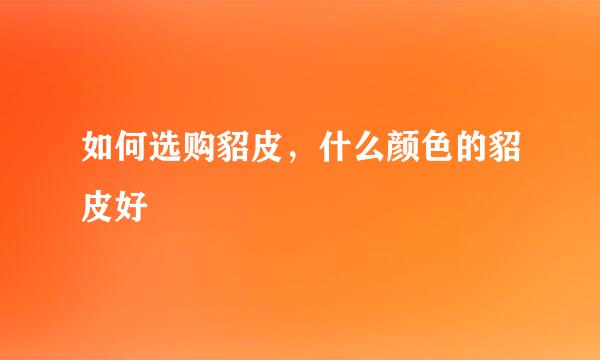 如何选购貂皮，什么颜色的貂皮好