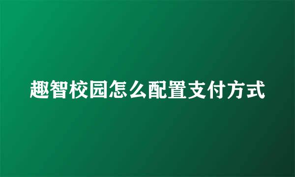 趣智校园怎么配置支付方式