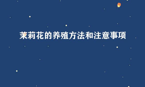 茉莉花的养殖方法和注意事项