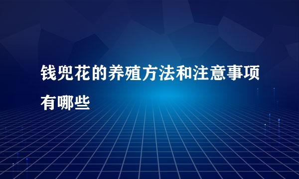 钱兜花的养殖方法和注意事项有哪些