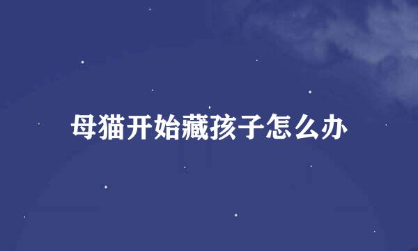 母猫开始藏孩子怎么办