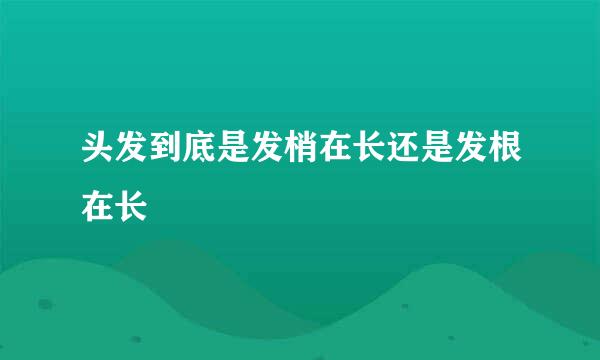 头发到底是发梢在长还是发根在长