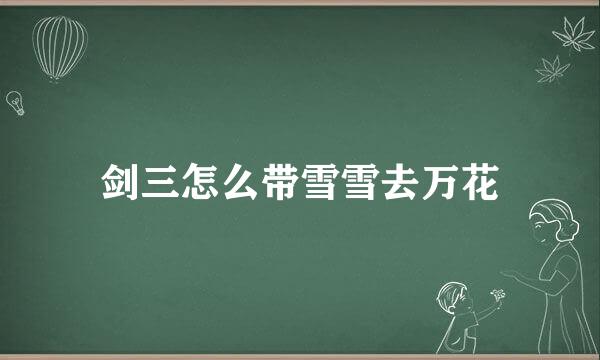 剑三怎么带雪雪去万花