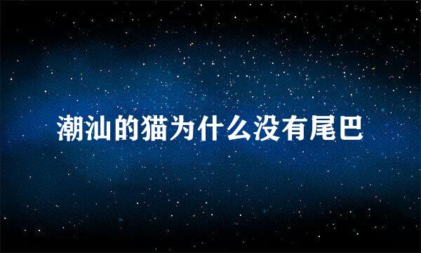 潮汕的猫为什么没有尾巴