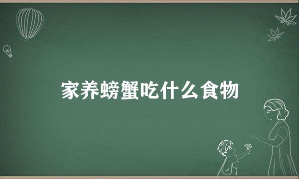 家养螃蟹吃什么食物