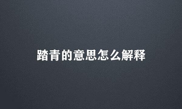 踏青的意思怎么解释