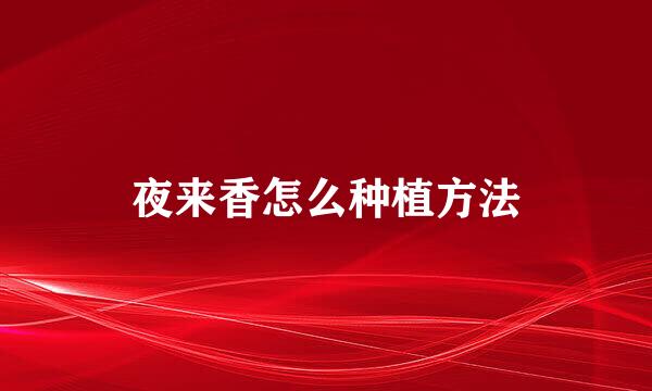 夜来香怎么种植方法