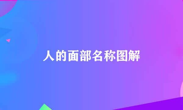 人的面部名称图解
